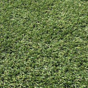 Meet your Posher, Kris